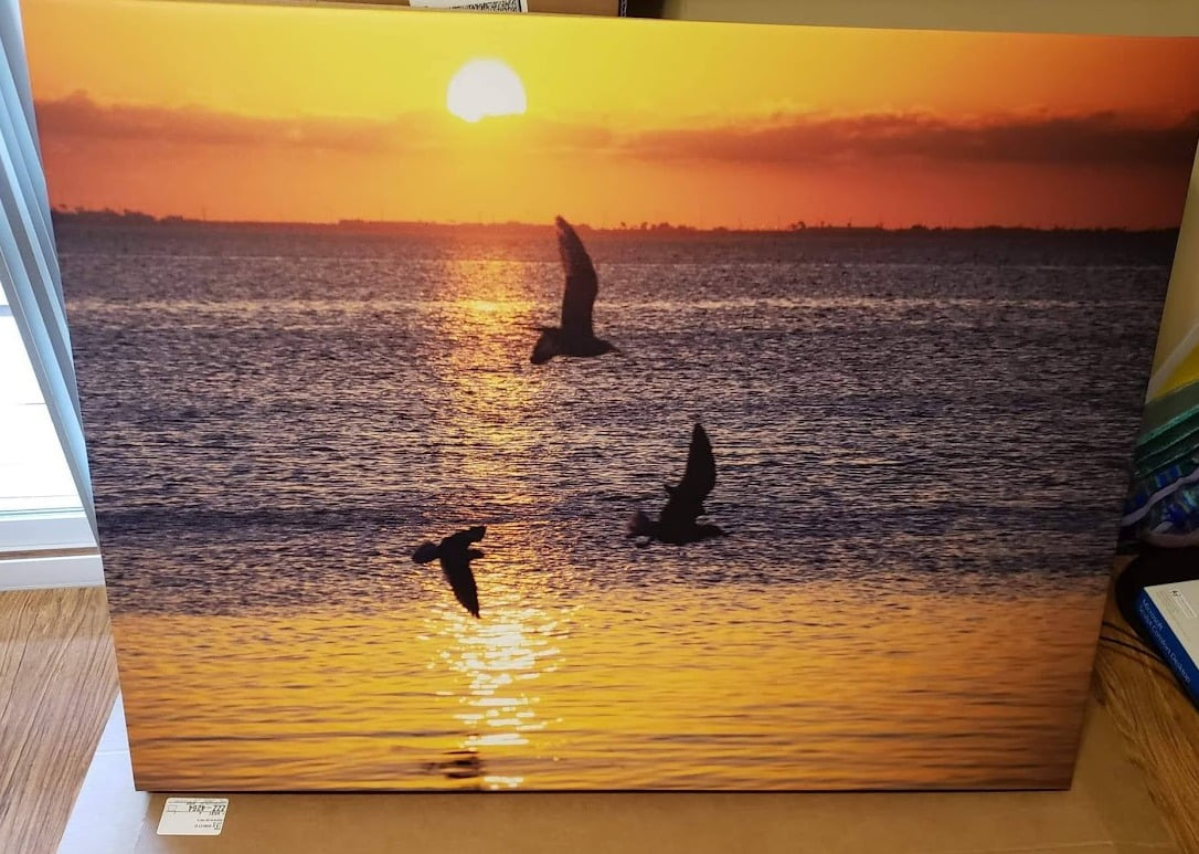A 30 X 40 Print  - Three Birds Over South Padre at Sunset - DDM Creative and Dirk D Myers Photography