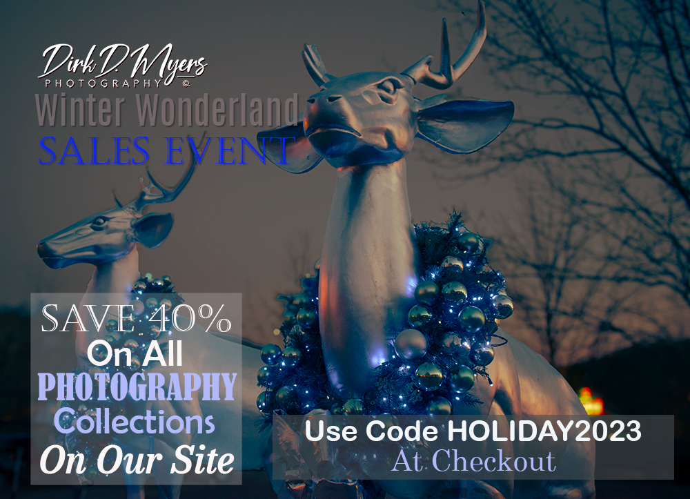 Winter Wonderland Sale - Dirk D Myers Photography